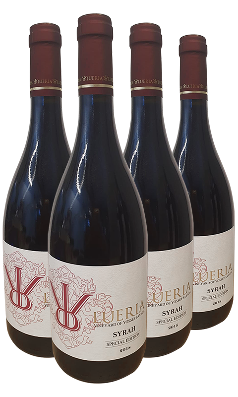 שישיית לוריא ספיישל אדישן סירה